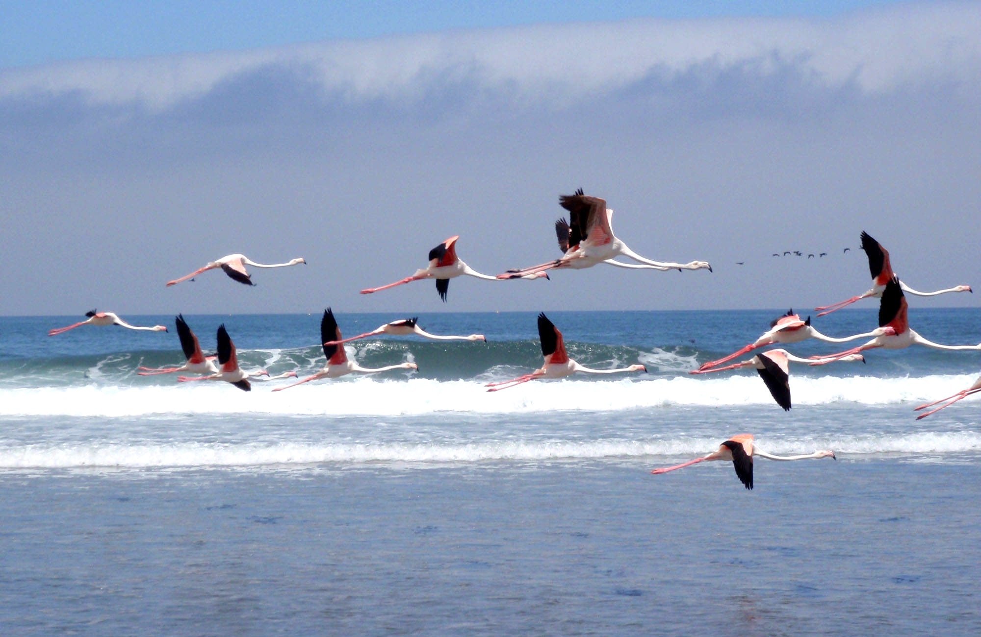 Swakopmund Experience (4)